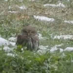 Meet your Posher, Zia